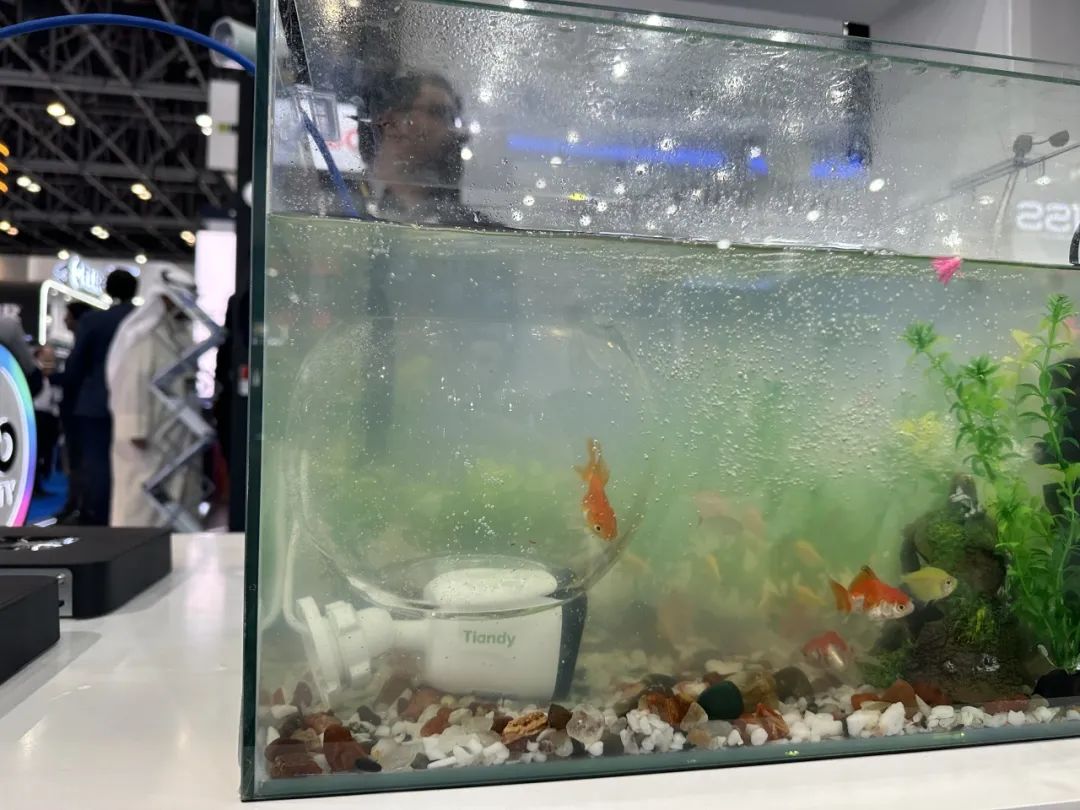 asiagame(中国区)官方网站