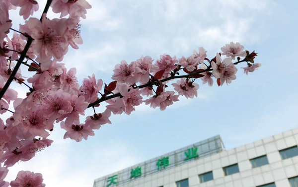 asiagame(中国区)官方网站