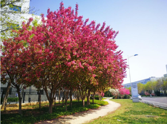 asiagame(中国区)官方网站